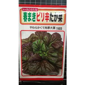 ３袋以上でクーポン割引 春まき ピリ辛 たか菜 たかな 種 郵便は送料無料