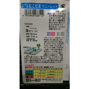 3袋以上でクーポン割引 紅 小玉 スイカ サニ...の詳細画像1