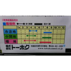 3袋以上でクーポン割引 紅 小玉 スイカ サニ...の詳細画像2