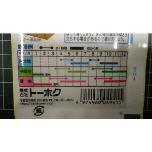 3袋以上でクーポン割引 サラダ 用 春菊 種 ...の詳細画像2