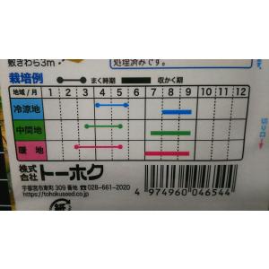 3袋以上でクーポン割引 縞紅 大玉 スイカ 西...の詳細画像2