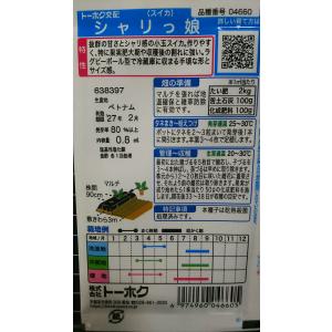 3袋以上でクーポン割引 小玉 スイカ シャリっ...の詳細画像1