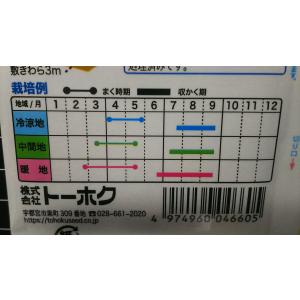 3袋以上でクーポン割引 小玉 スイカ シャリっ...の詳細画像2