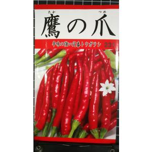 ３袋以上でクーポン割引 鷹の爪 トウガラシ 種 タカノツメ 郵便は送料無料 唐辛子