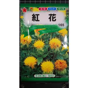 ３袋以上でクーポン割引 紅花 ベニバナ 種 郵便は送料無料