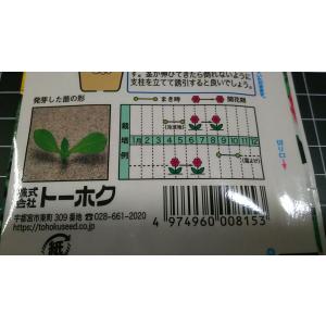 3袋以上でクーポン割引 紅花 ベニバナ 種 郵...の詳細画像2