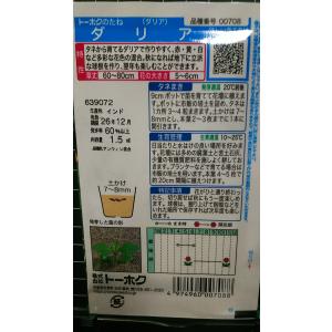 3袋以上でクーポン割引 ダリア 種 郵便は送料無料の詳細画像1