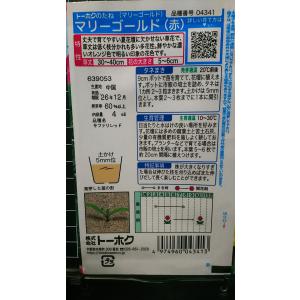 3袋以上でクーポン割引 マリーゴールド フレン...の詳細画像1