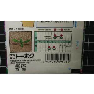 3袋以上でクーポン割引 フロックス ビューティ...の詳細画像2
