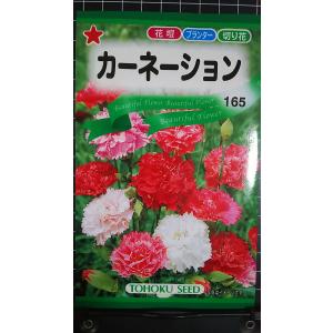 ３袋以上でクーポン割引 カーネーション 種 郵便は送料無料