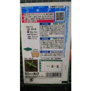 3袋以上でクーポン割引 コキア ほうき草 ホウ...の詳細画像1