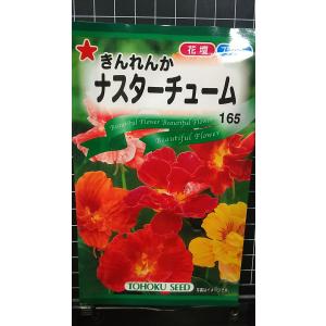 ３袋以上でクーポン割引 ナスターチューム きんれんか 種 郵便は送料無料
