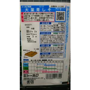 3袋以上でクーポン割引 大葉 青 しそ アオシ...の詳細画像1