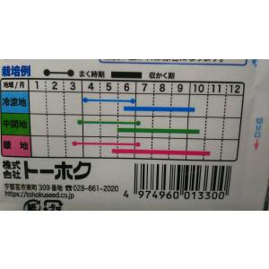 3袋以上でクーポン割引 大葉 青 しそ アオシ...の詳細画像2
