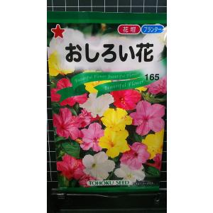 ３袋以上でクーポン割引 おしろい花 オシロイバナ 種 郵便は送料無料