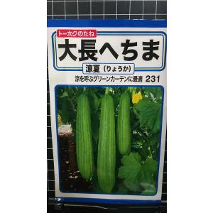 ３袋以上でクーポン割引 大長 へちま 涼夏 ヘチマ グリーンカーテン 種 郵便は送料無料
