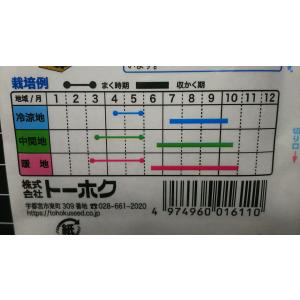 3袋以上でクーポン割引 大長 へちま 涼夏 ヘ...の詳細画像2