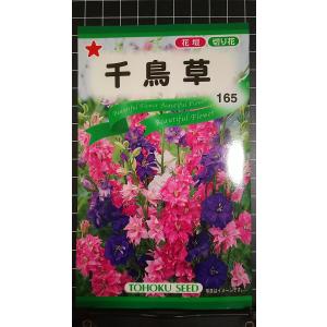 ３袋以上でクーポン割引 千鳥草 チドリソウ 種 郵便は送料無料
