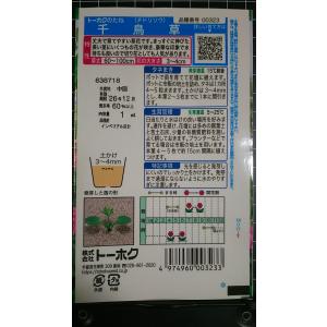 3袋以上でクーポン割引 千鳥草 チドリソウ 種...の詳細画像1