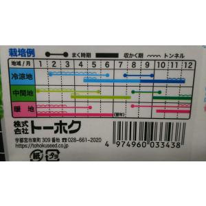 3袋以上でクーポン割引 焼肉用 レタス チマサ...の詳細画像2