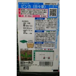 3袋以上でクーポン割引 ビンカ 日々草 ニチニ...の詳細画像1