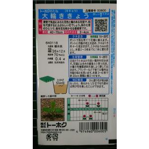 3袋以上でクーポン割引 大輪 ききょう 桔梗 ...の詳細画像1