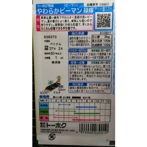 3袋以上でクーポン割引 やわらか ピーマン 緑...の詳細画像1