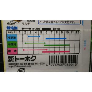 3袋以上でクーポン割引 やわらか ピーマン 緑...の詳細画像2