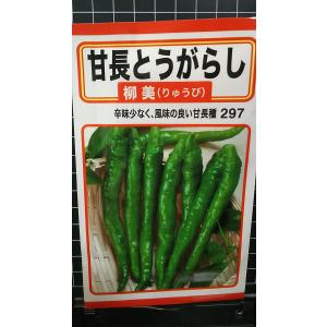 ３袋以上でクーポン割引 甘長 とうがらし 柳美 唐辛子 種 郵便は送料無料