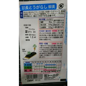 3袋以上でクーポン割引 甘長 とうがらし 柳美...の詳細画像1