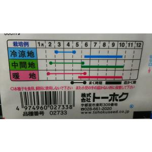 3袋以上でクーポン割引 甘長 とうがらし 柳美...の詳細画像2