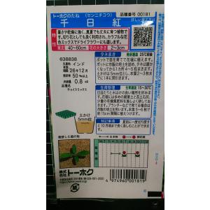 3袋以上でクーポン割引 千日紅 せんにちこう ...の詳細画像1