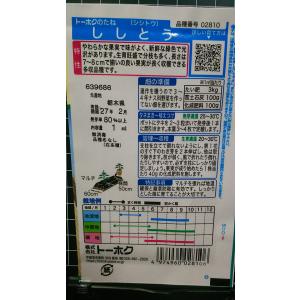 3袋以上でクーポン割引 ししとう 種 郵便は送料無料の詳細画像1