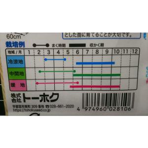 3袋以上でクーポン割引 ししとう 種 郵便は送料無料の詳細画像2