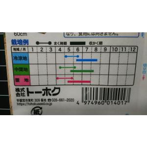 3袋以上でクーポン割引 オカヒジキ ひじき菜 ...の詳細画像2