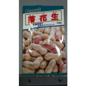 おおまさりネオ】落花生 18粒【大和農園】野菜種 ラッカセイ[春まき
