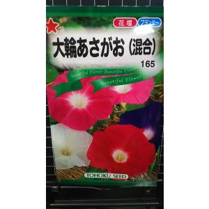 ３袋以上でクーポン割引 大輪 あさがお 混合 朝顔 種 郵便は送料無料