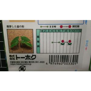 3袋以上でクーポン割引 覆輪 あさがお 混合 ...の詳細画像2