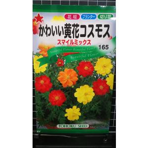 ３袋以上でクーポン割引 かわいい 黄花 コスモス スマイルミックス 秋桜 種 郵便は送料無料