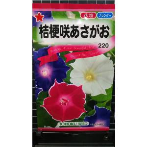 花の種（営利用）アサガオ 朝顔 暁の混合 1000粒 プライマックス種子