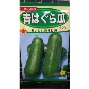 ３袋以上でクーポン割引 青 はぐら瓜 浅漬け用 種 郵便は送料無料