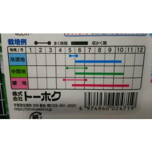 3袋以上でクーポン割引 モロヘイヤ 種 郵便は...の詳細画像2