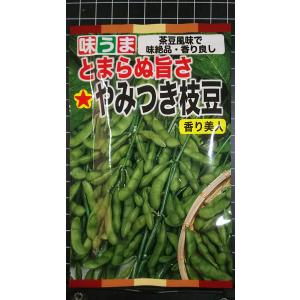 ３袋以上でクーポン割引 やみつき エダマメ 香り美人 茶豆 風味 枝豆 種 郵便は送料無料