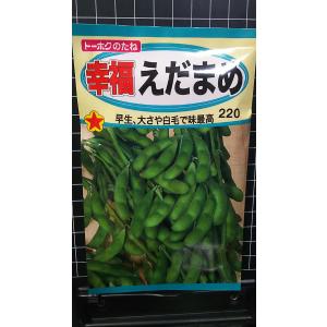 ３袋以上でクーポン割引 幸福 枝豆 早生 大さや えだまめ 種 郵便は送料無料