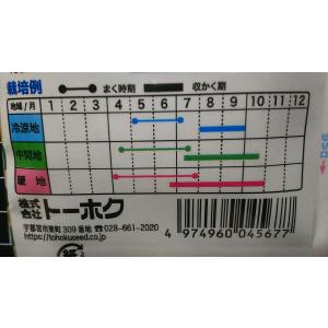 3袋以上でクーポン割引 幸福 枝豆 早生 大さ...の詳細画像2