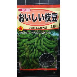 ３袋以上でクーポン割引 黒大豆 おいしい 枝豆 えだまめ 種 郵便は送料無料