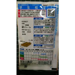 3袋以上でクーポン割引 早生 枝豆 えだまめ ...の詳細画像1