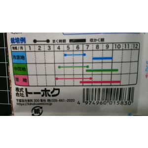 3袋以上でクーポン割引 早生 枝豆 えだまめ ...の詳細画像2