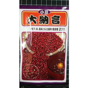 ３袋以上でクーポン割引 小豆 大納言 あずき 大粒 種 郵便は送料無料