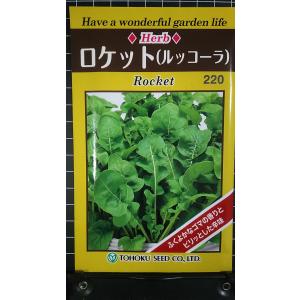 ３袋以上でクーポン割引 ロケット ルッコーラ ルッコラ 種 郵便は送料無料